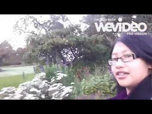 Video: Jemma Wong