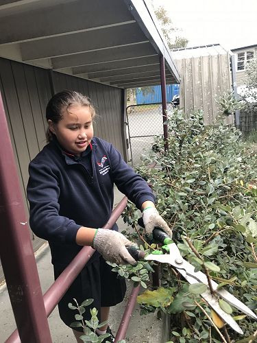 Cienna Rose pruning some shrubs.