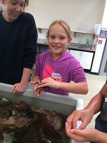 Courtney making sea friends 