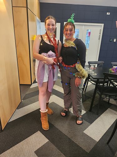 The Christmas Light Twins