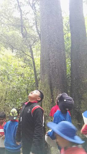 Riccarton House & Riccarton Bush - Team Harakeke - 2017