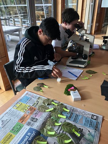 From left; Ben Salisbury and Tom Adam