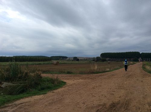 Day 15 Margie on the road out of Hospital de Orbigo
