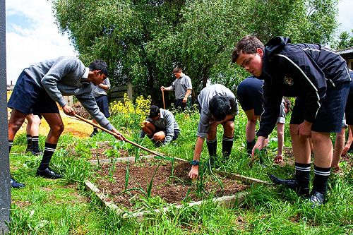 Year 10 Horticulture 