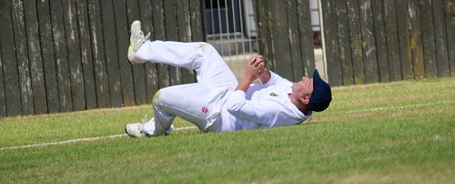 2001 Cricket Reunion