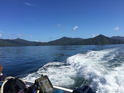 Queen Charlotte Track
