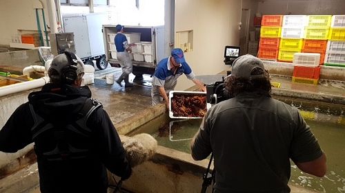 The Country Calendar Crew at Riverton