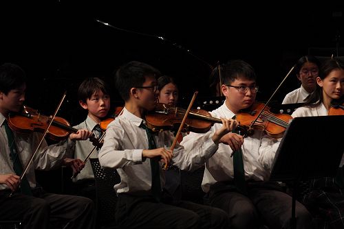Junior Strings at the Aurora Festival