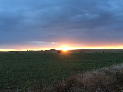 Day 12 Sunrise as we walked into Carrion de los Condes