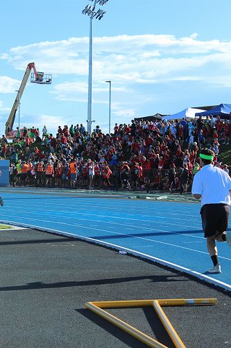 A strong crowd filled with house colours