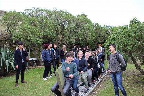 Albatross Colony Trip