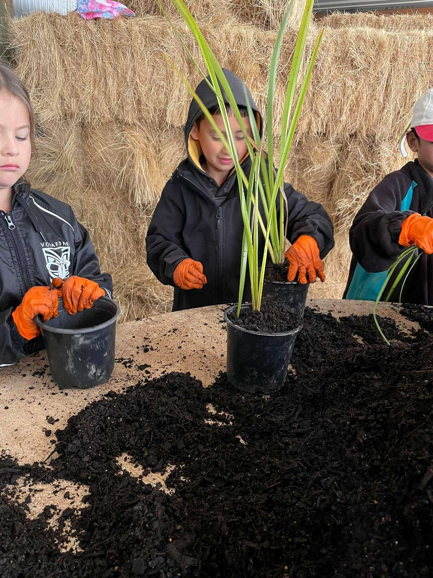Tauhara Primary School