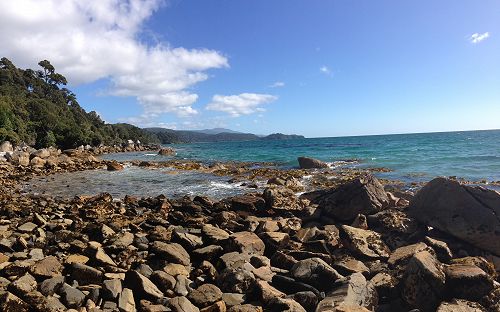 International Stewart Island Tramp