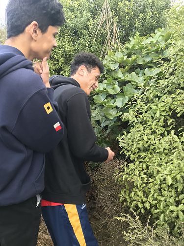 From left; Neel Poojari and Jacob Evile