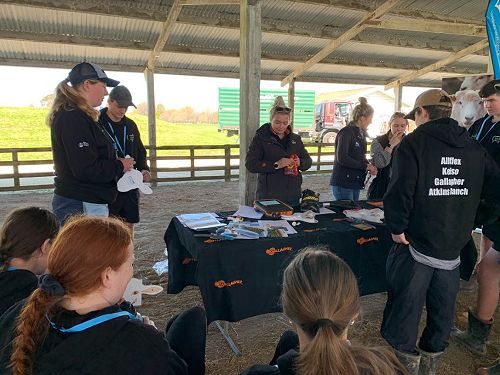 Future Sheep Competition