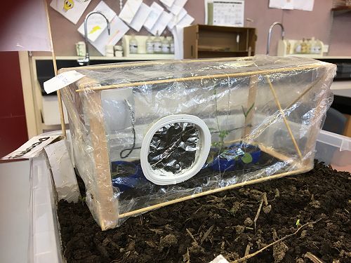 This model included a
greenhouse with recycled water.