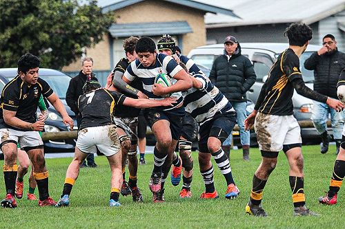 PNBHS Colts Rugby v Wellington College 