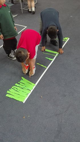 Measurement - Team Awa