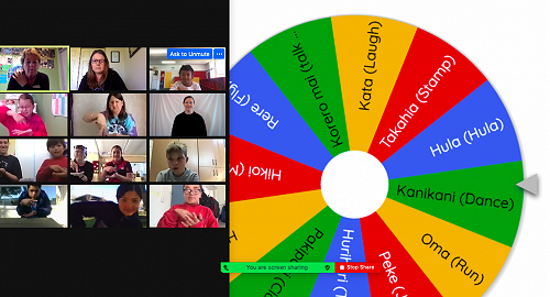 NZSL Hub zoom 17.9.21