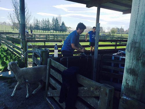 Year 10 Agriculture Day at Aoraki Polytechnic