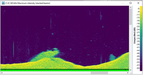 ECHOVIEW Hydroacoustic Data Processing of WASSP Multibeam recordings