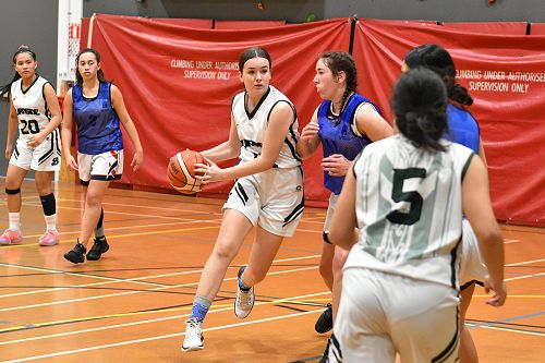 Girls Basketball 2020