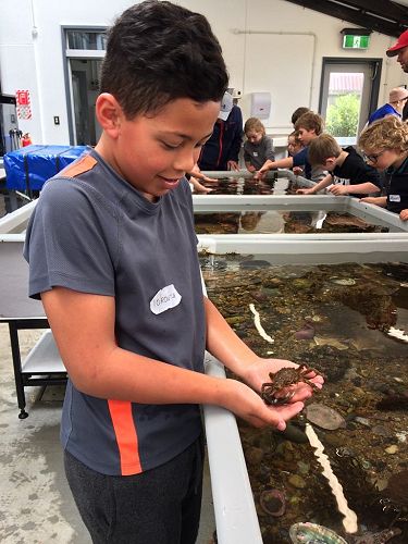 Tokoitu making sea friends 