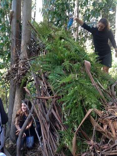 Totara Camp February 2017