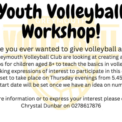 Youth Volleyball Workshop