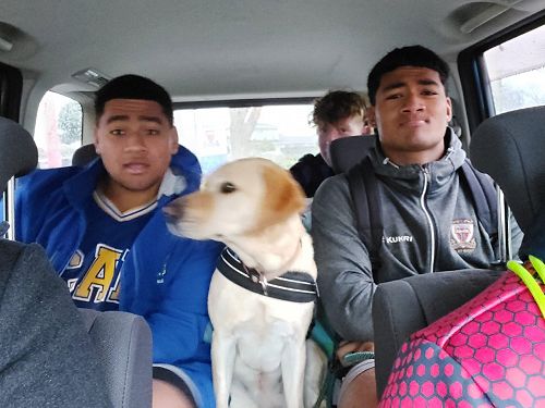 Apiata, Rylee and Norman - off to the farm