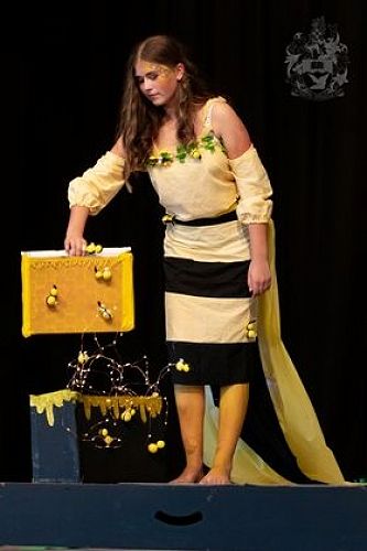 Aitkin& Waters Cup Day 2020