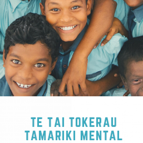 Te Tai Tokerau Mental Wellbeing Project