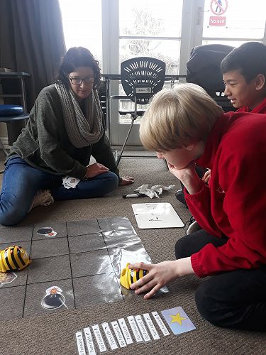 Digital Technology - Beebots