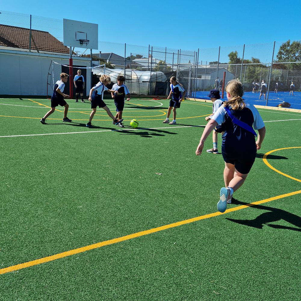 Multisport For The Win 🙌 — Room 1 Class Newsletter 2022