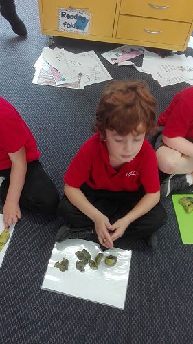 Measurement - week one