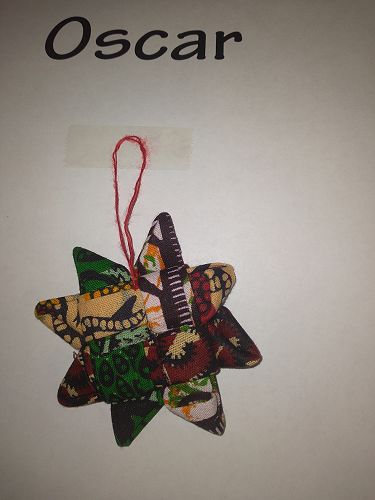 Oscar De Pelsemaeker's finished star