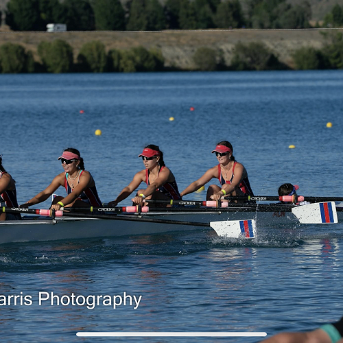 South Island Rowing Regatta