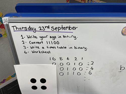 Binary in Te Ngahere! -  Wider Curriculum