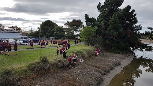 Students scour the environs surrounding the creek.