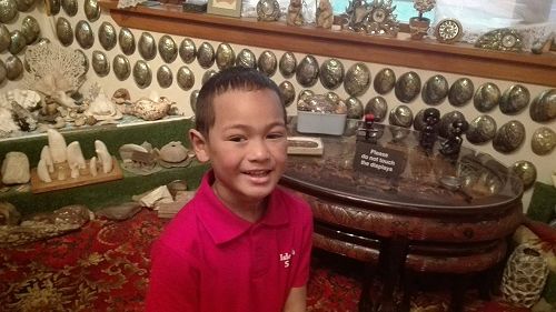 Team Awa's Visit to the Art Gallery and Museum