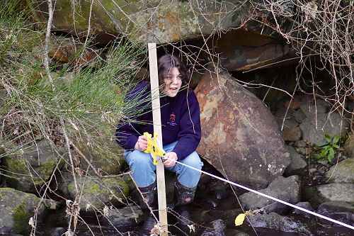 "Whose that clip clapping over my Bridge" Jack Basham