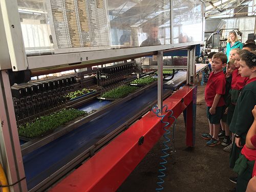 The transplanter machine!