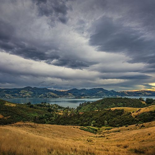 Hot Picks - Otago Writers