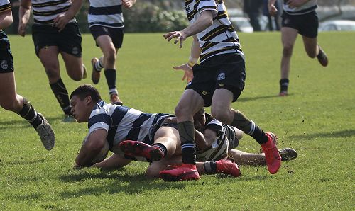 2nd XV vs New Plymouth Boys' High School