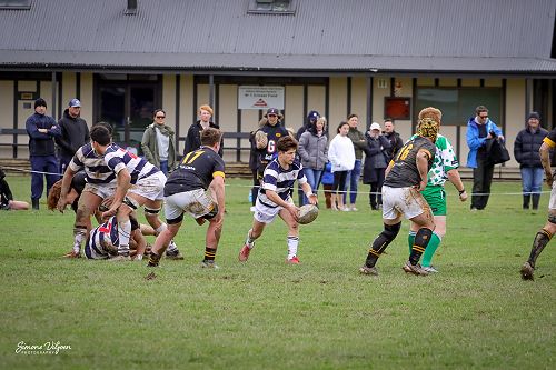 1st XV v Wellington College - Match Report 