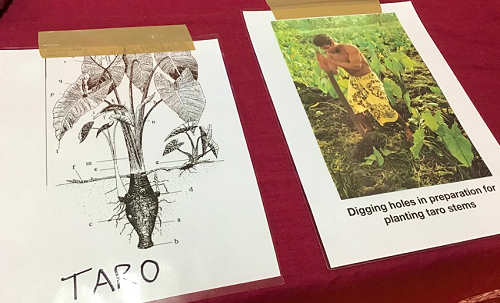 We even got a lesson on the food we ate as well.