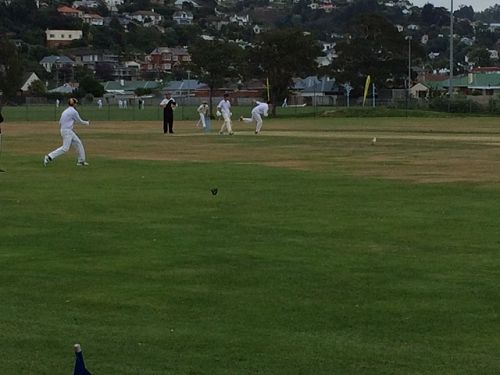 Cricket - Kings Exchange 2016