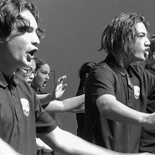 He Waka Kōtuia open the event