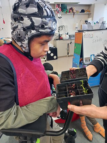 Andre was very surprised to see how much our seedlings had grown.