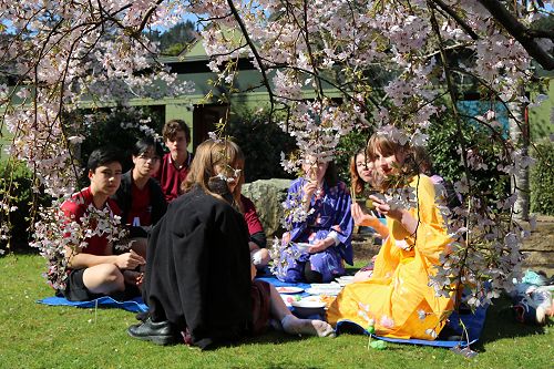 Year 10 Japanese Hanami picnic